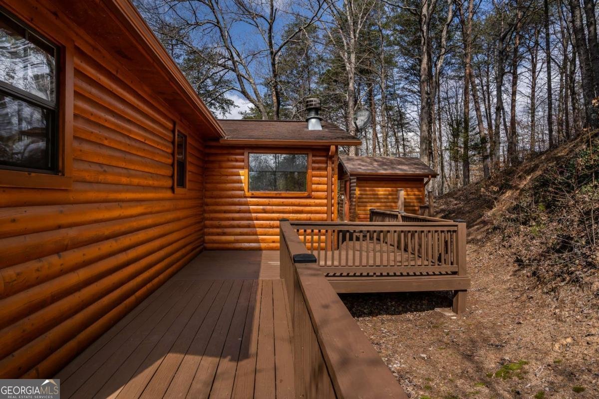 233 River Hills Road Mineral Bluff - 48