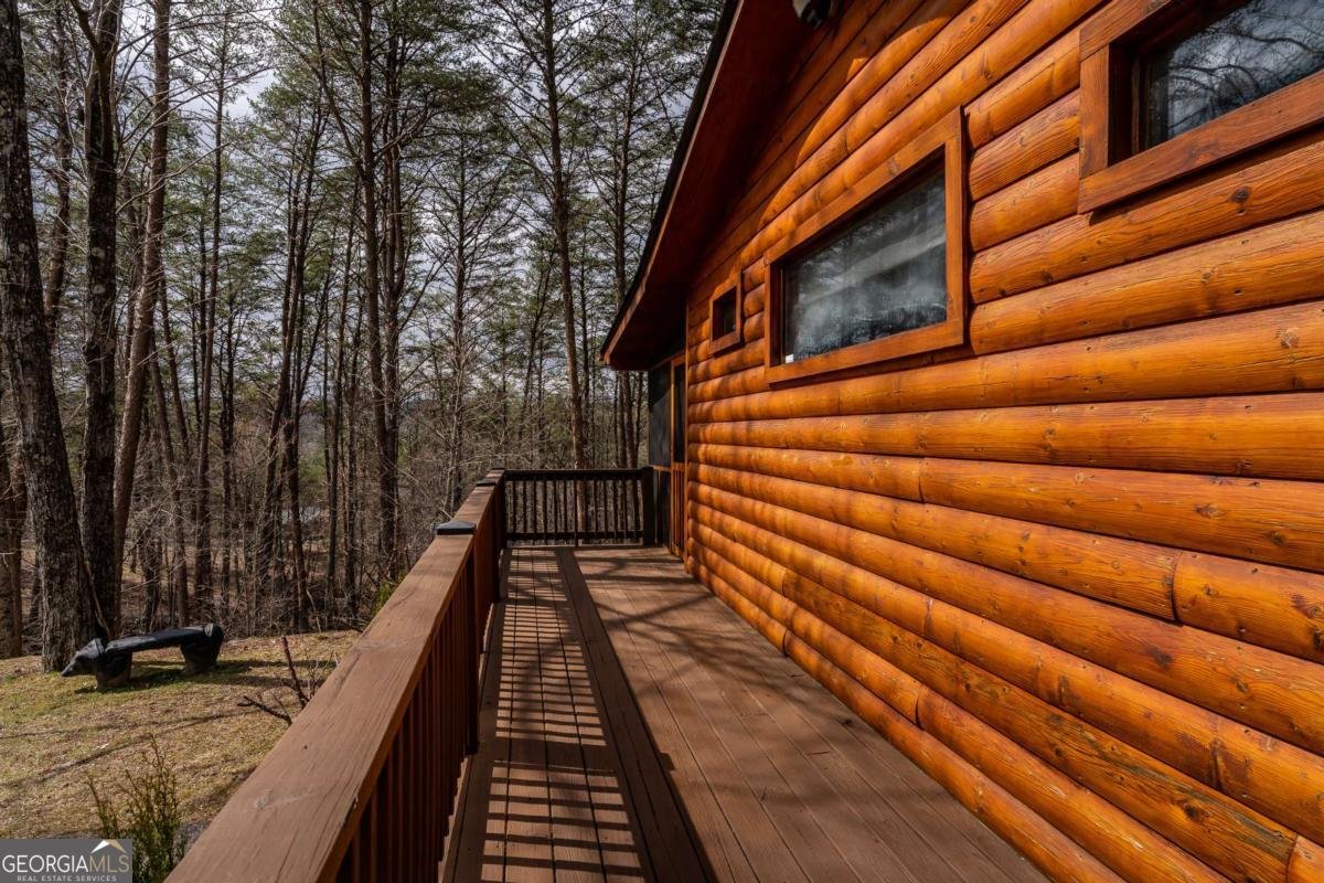 233 River Hills Road Mineral Bluff - 49