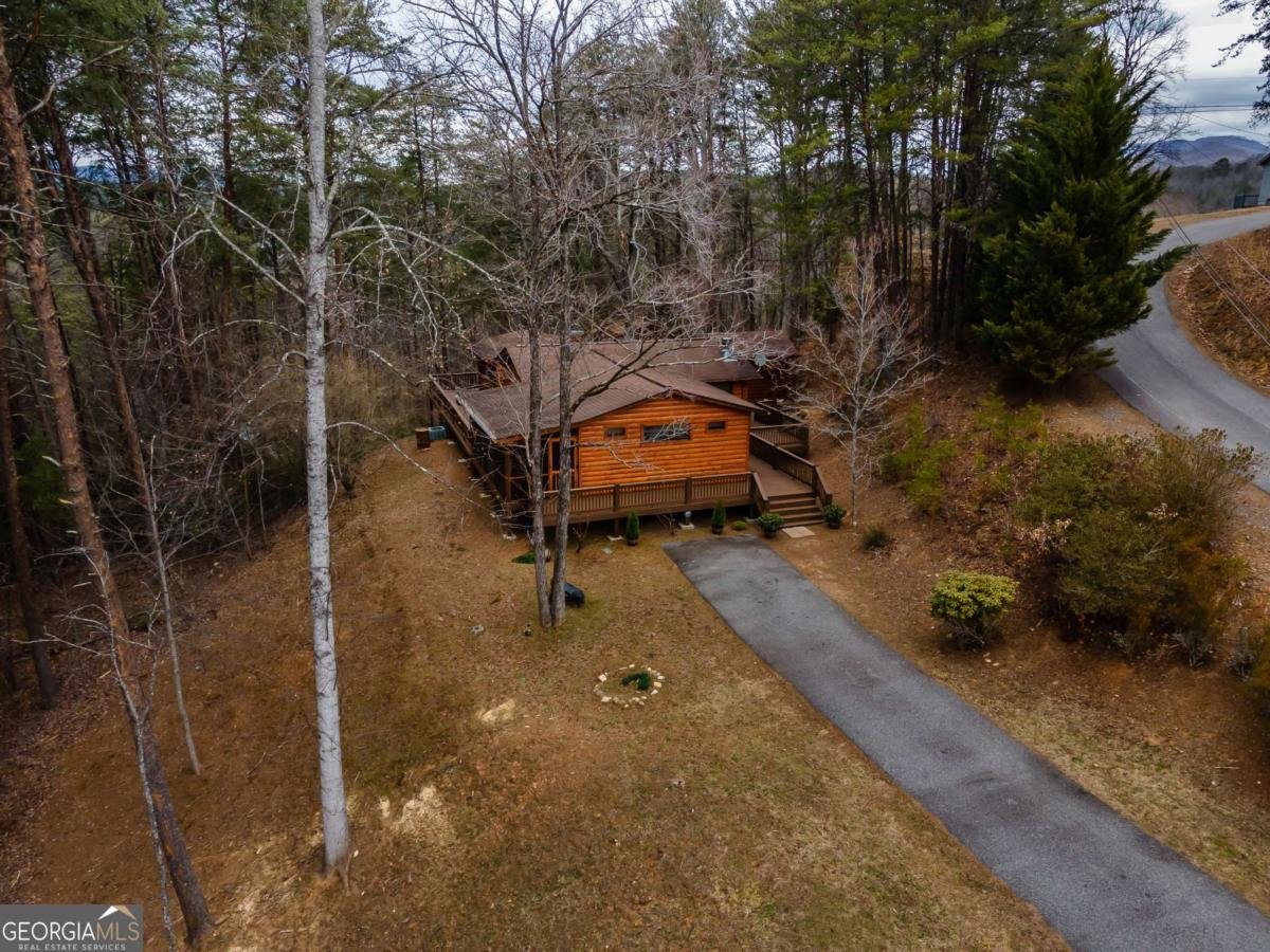 233 River Hills Road Mineral Bluff - 5