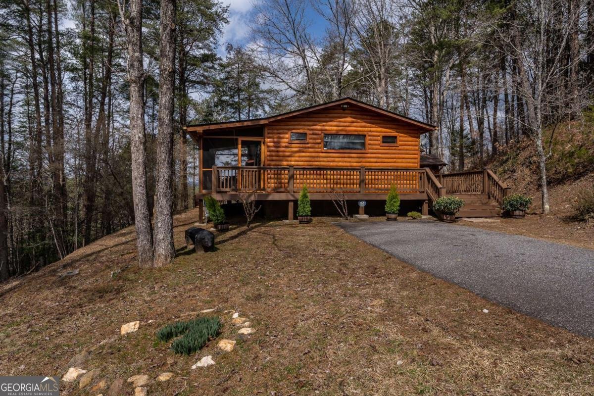 233 River Hills Road Mineral Bluff - 52