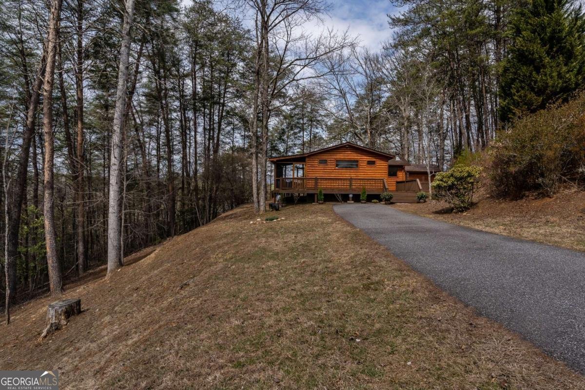 233 River Hills Road Mineral Bluff - 53