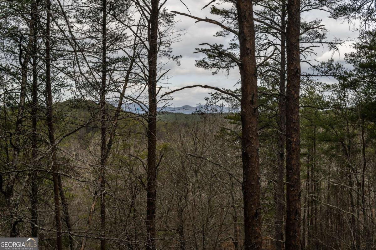 233 River Hills Road Mineral Bluff - 55