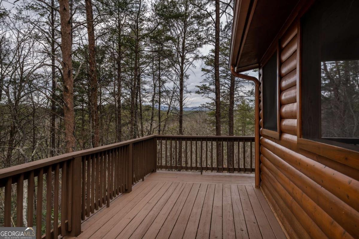 233 River Hills Road Mineral Bluff - 58