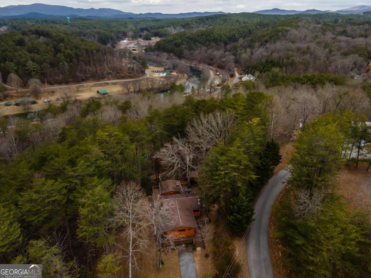 233 River Hills Road Mineral Bluff - 6