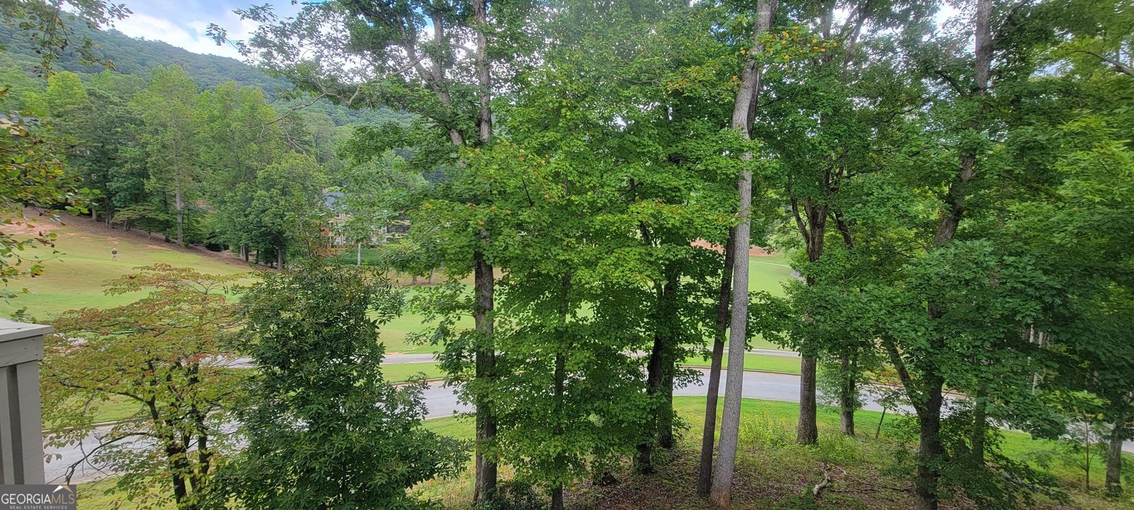 251 Shakespeare Drive Clayton - 22