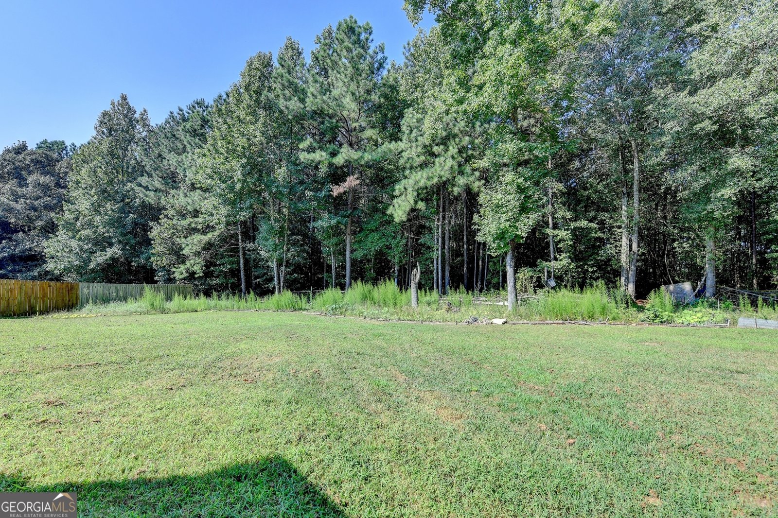 1136 MASON LEE Avenue Loganville - 62
