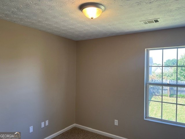 6035 Flagstaf Walk Mcdonough - 22