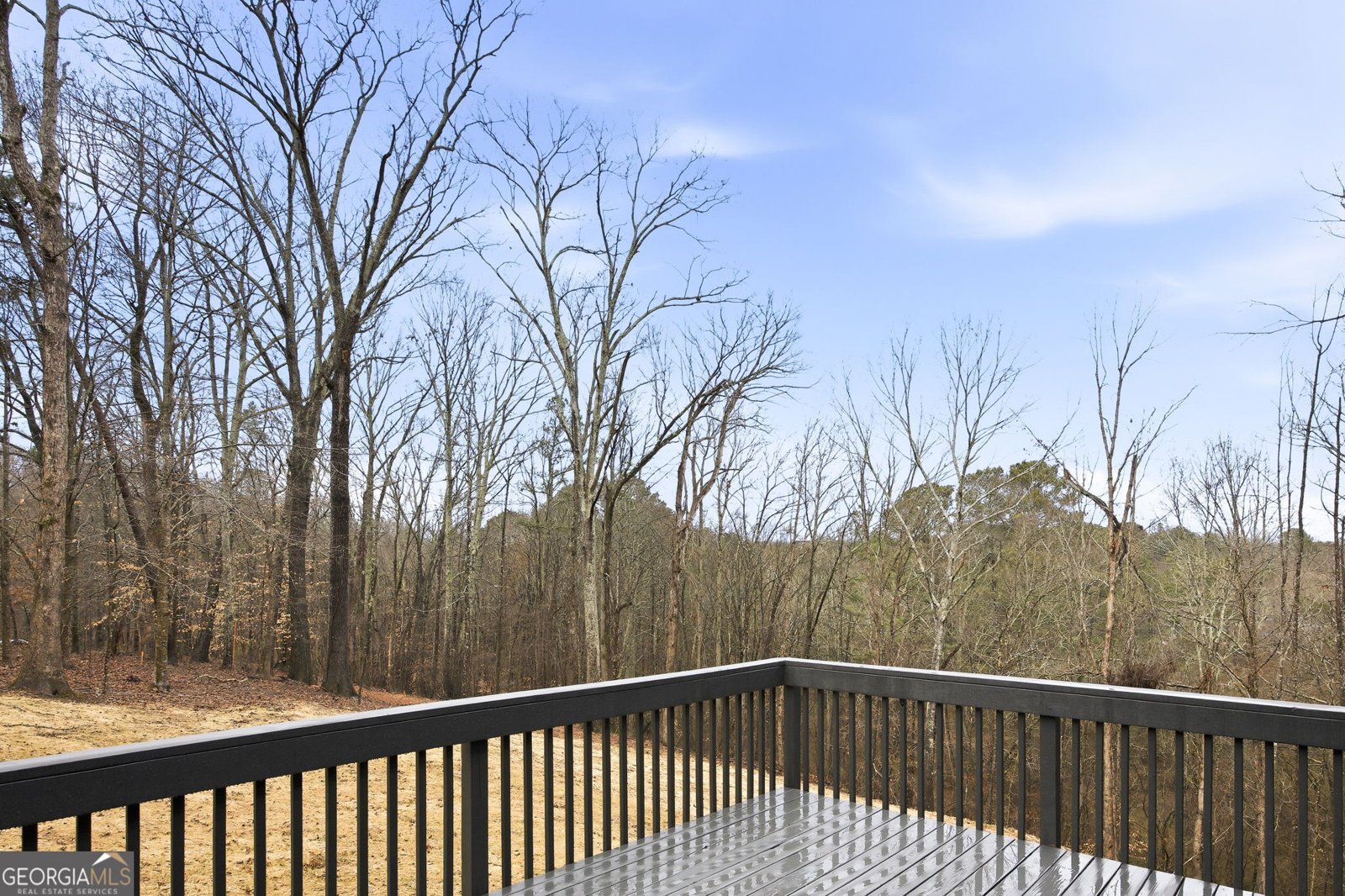 115 OLD AVERY Drive Canton - Photo 45