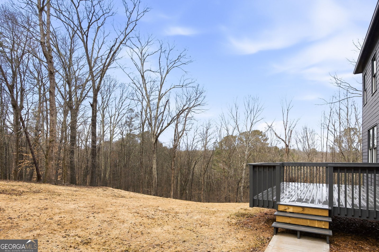 115 OLD AVERY Drive Canton - Photo 46