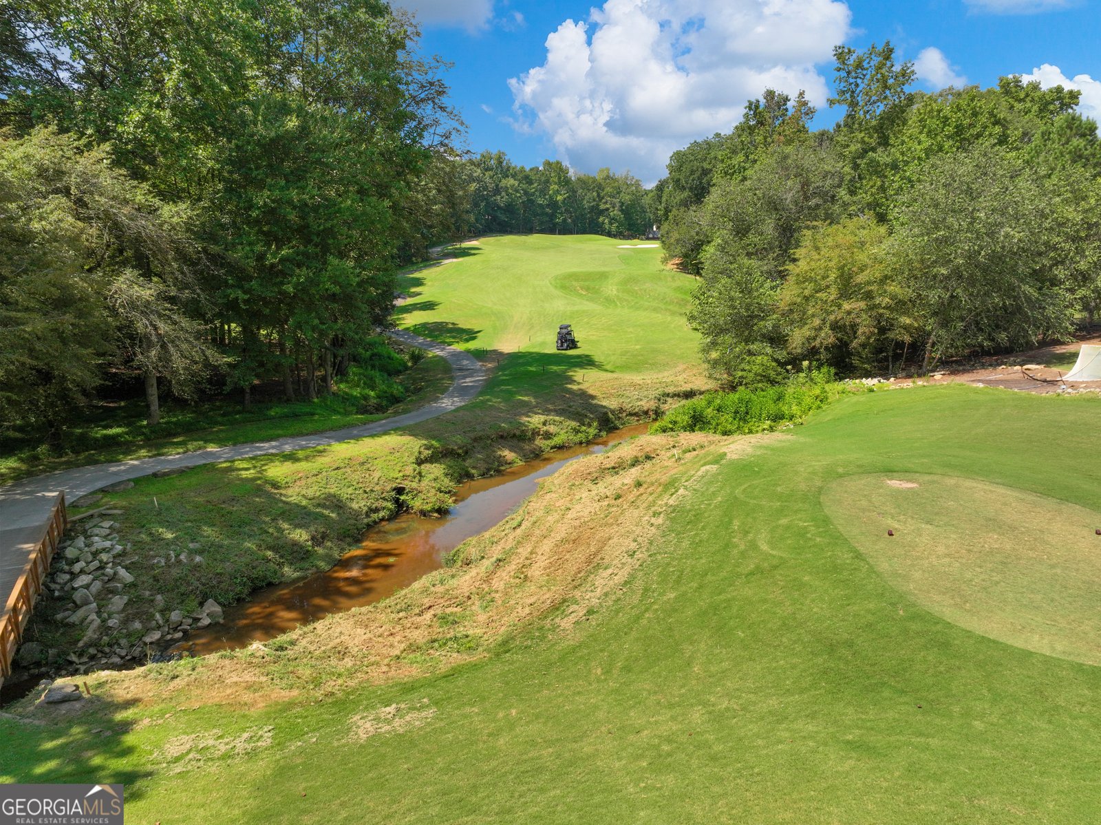 5921 Yoshino Cherry Lane Braselton - 92