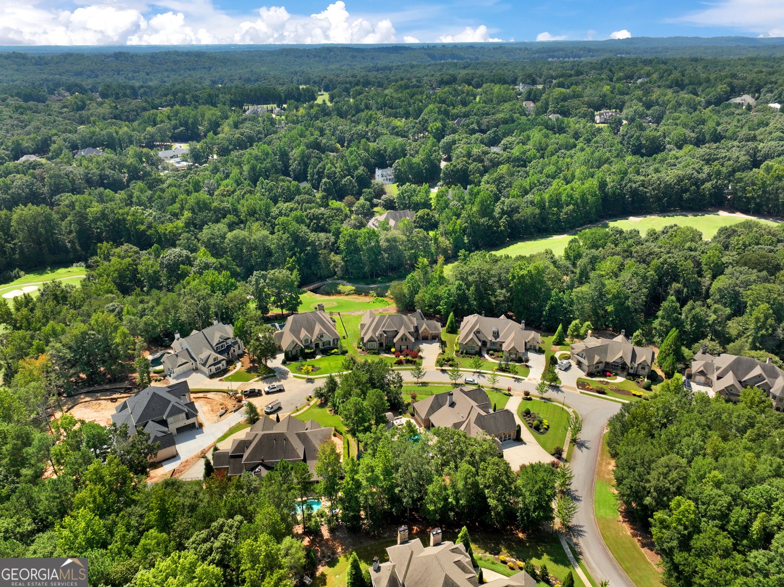 5921 Yoshino Cherry Lane Braselton - 97