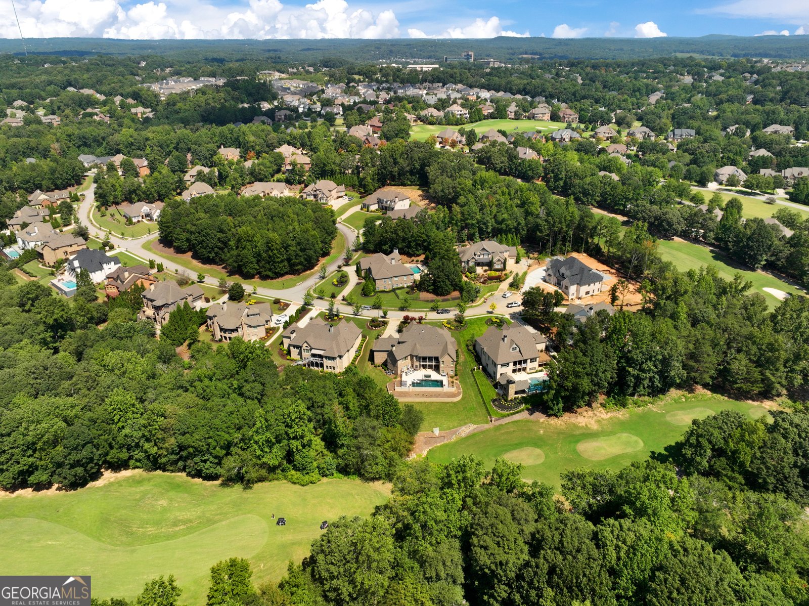 5921 Yoshino Cherry Lane Braselton - 98