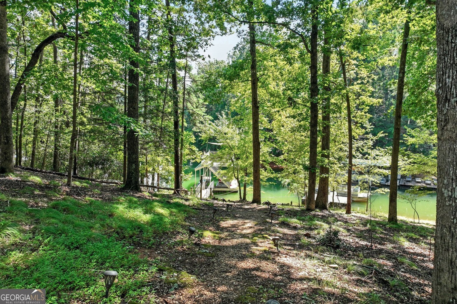 504 Sams Road Dawsonville - 45