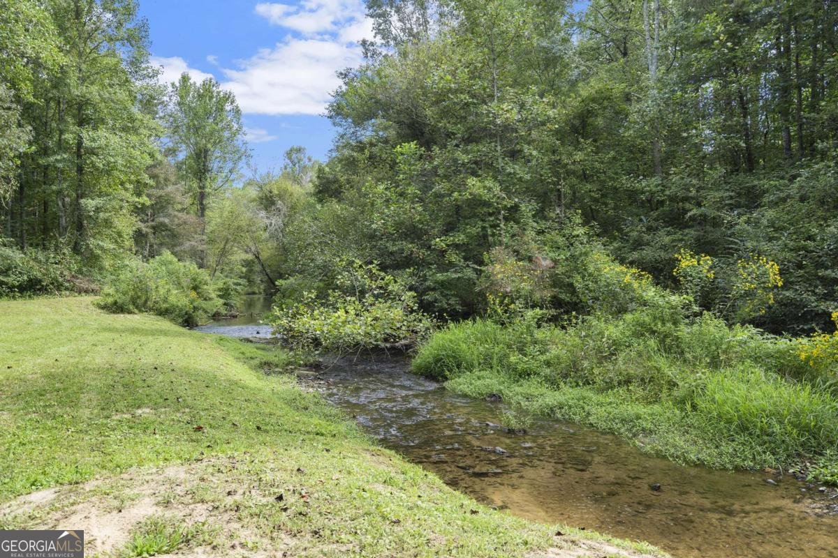 530 Burleson Road Ellijay - 22