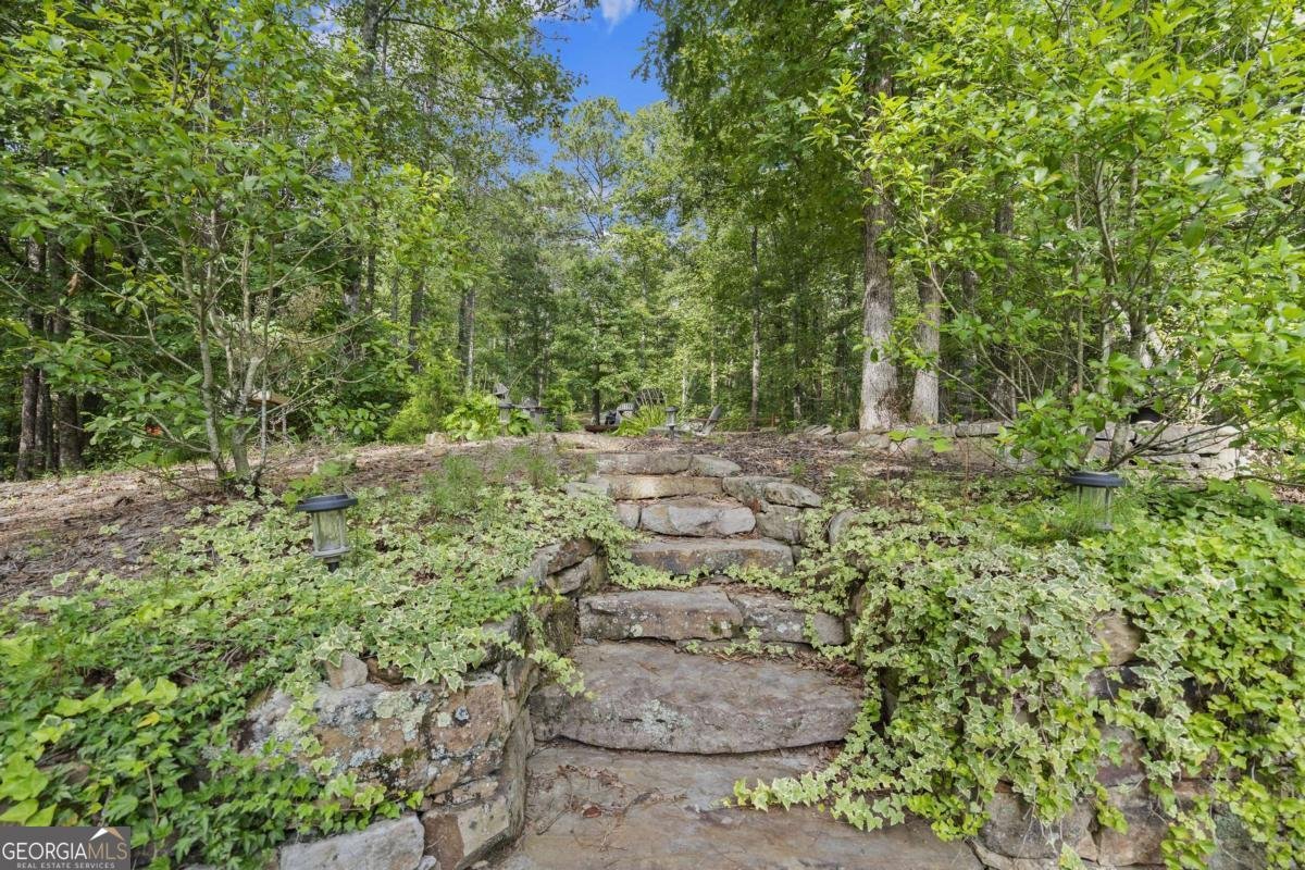 530 Burleson Road Ellijay - 25