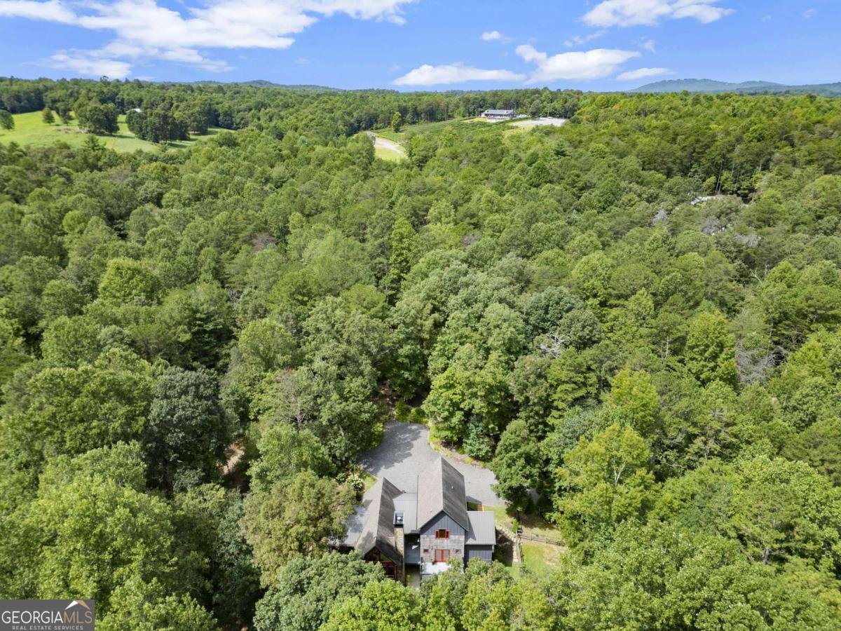 530 Burleson Road Ellijay - 35
