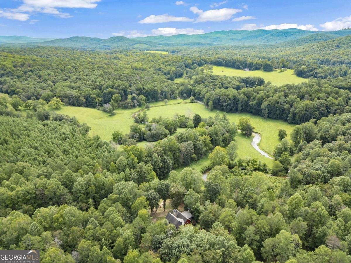 530 Burleson Road Ellijay - 36