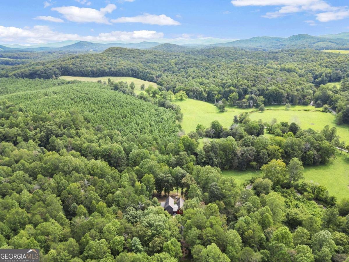 530 Burleson Road Ellijay - 37