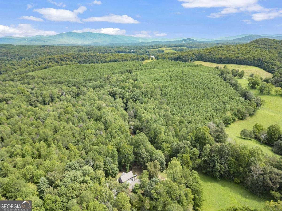 530 Burleson Road Ellijay - 38