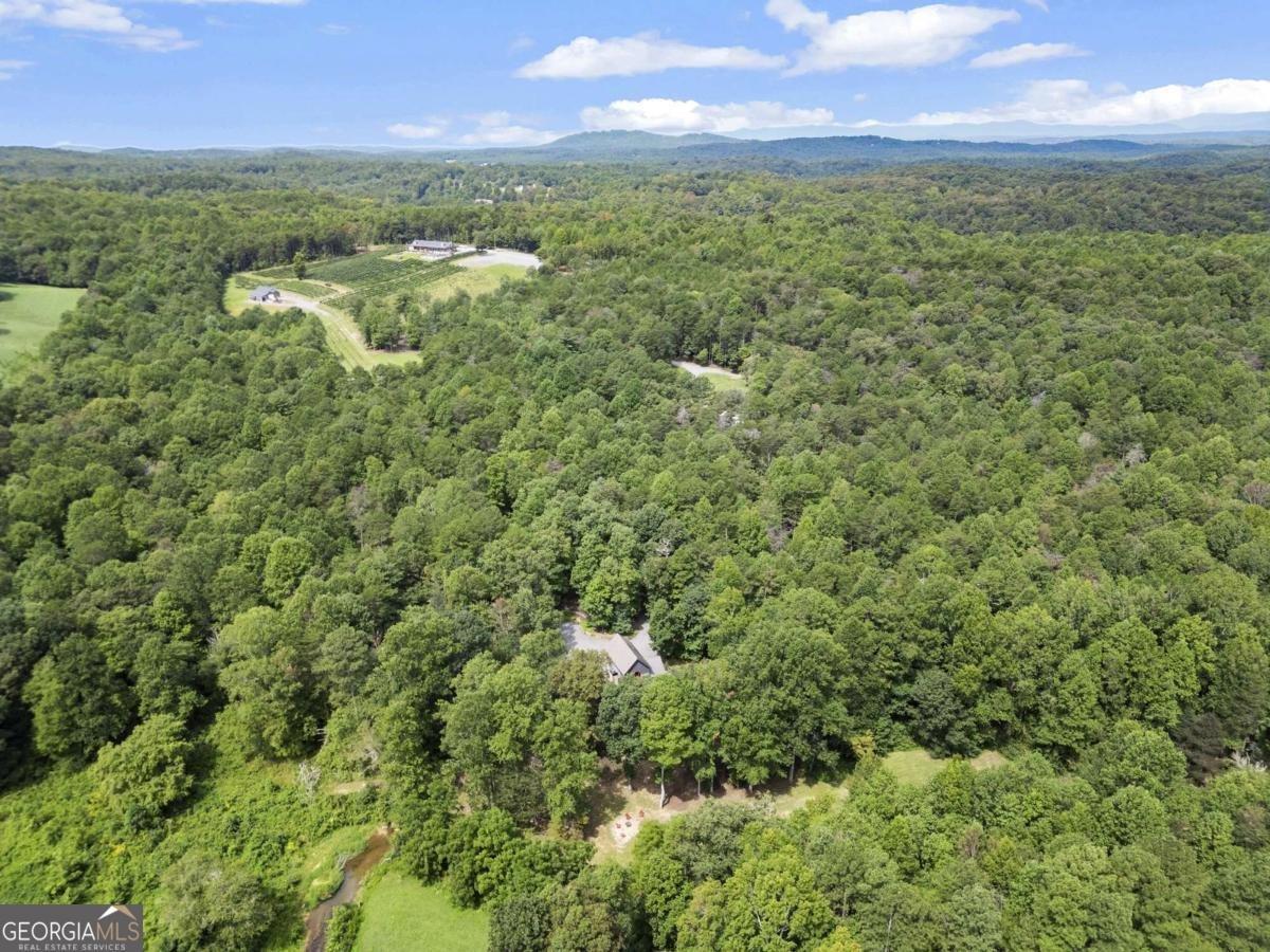 530 Burleson Road Ellijay - 39
