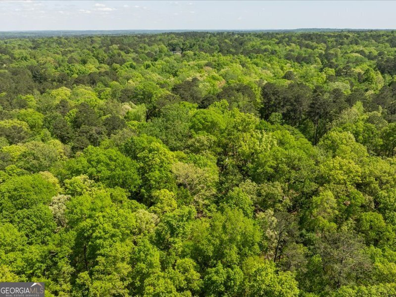 5761 Kentucky Downs Drive Macon - 48