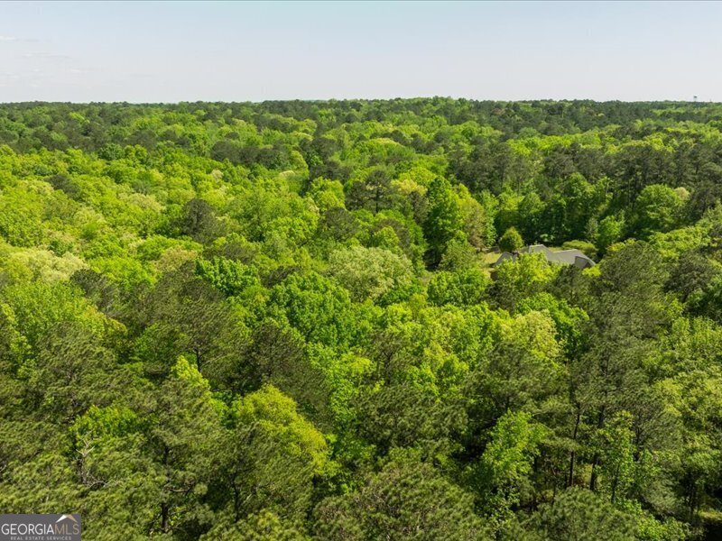 5761 Kentucky Downs Drive Macon - 58