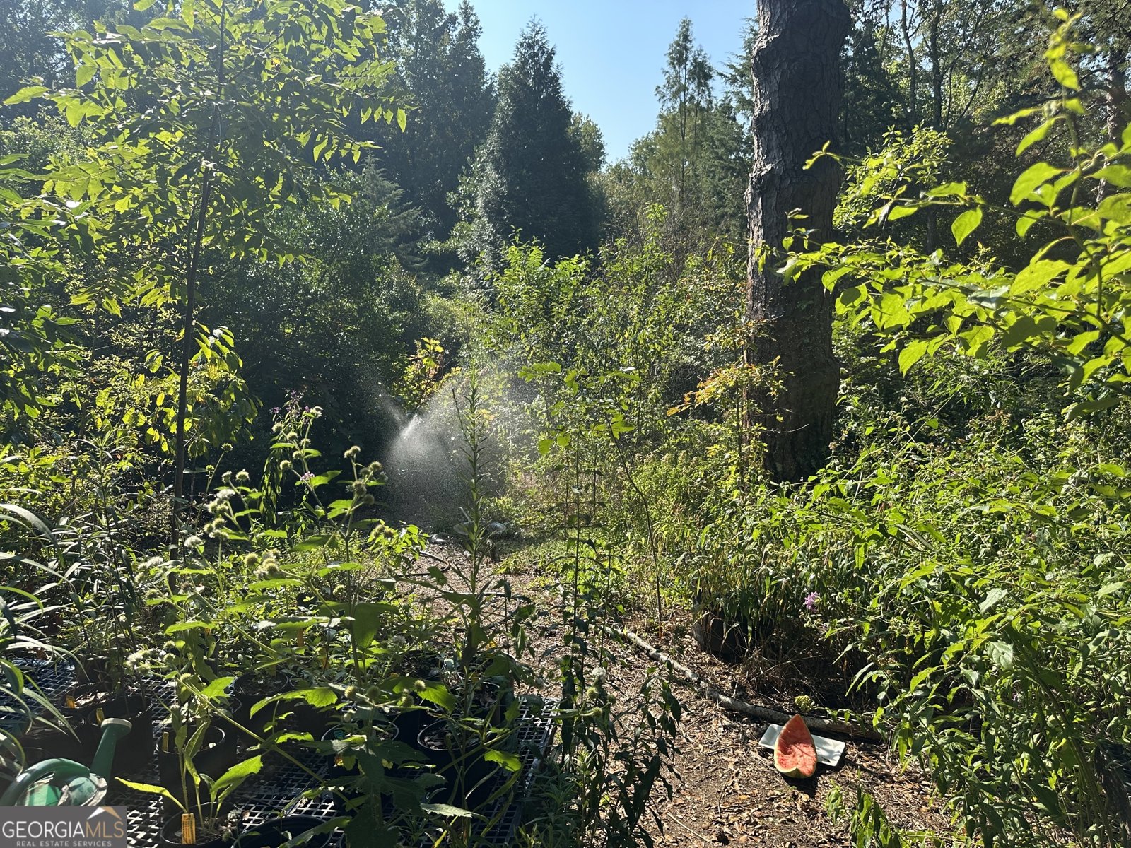 776 McBride Road Fayetteville - 12