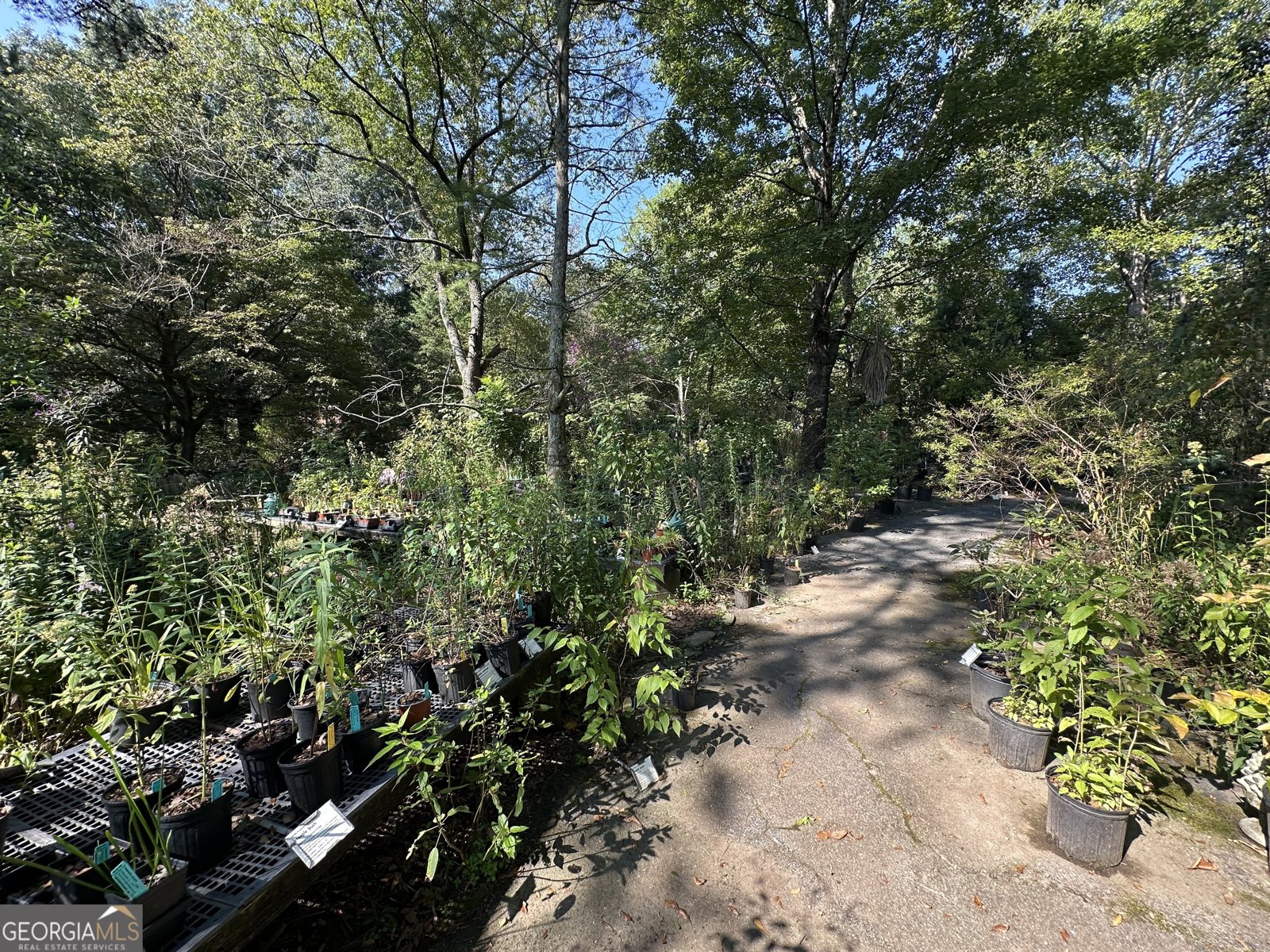 776 McBride Road Fayetteville - 13