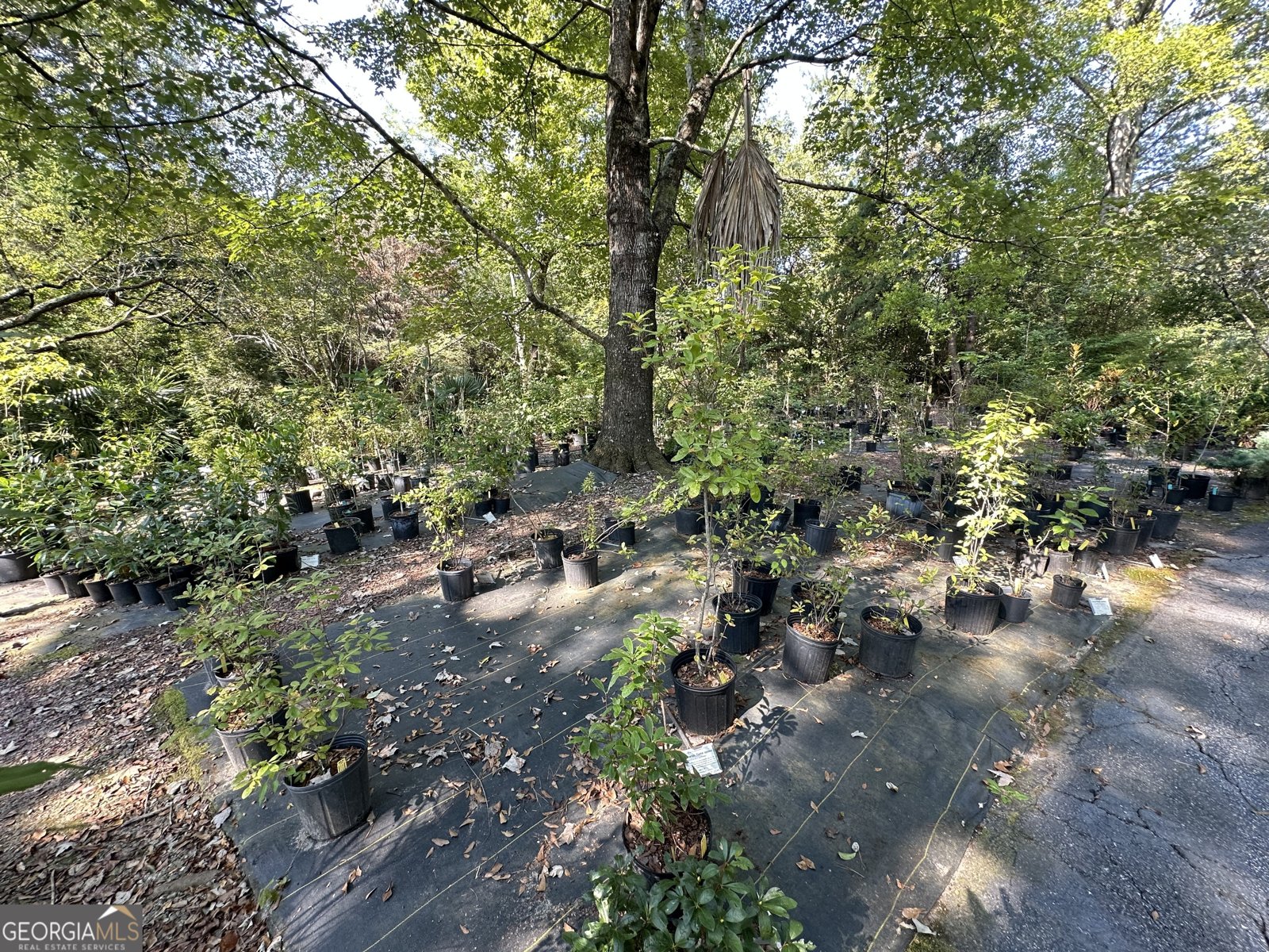 776 McBride Road Fayetteville - 15