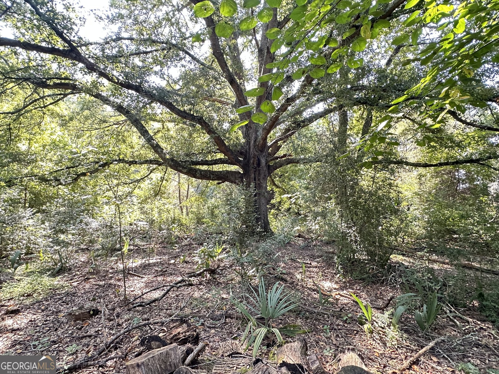 776 McBride Road Fayetteville - 23