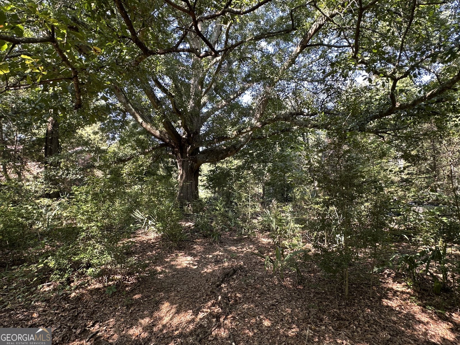 776 McBride Road Fayetteville - 27