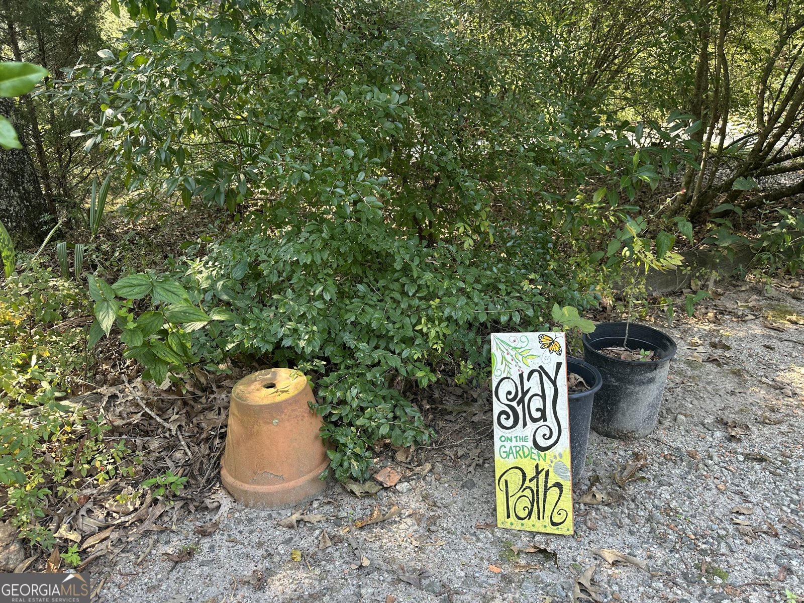 776 McBride Road Fayetteville - 31