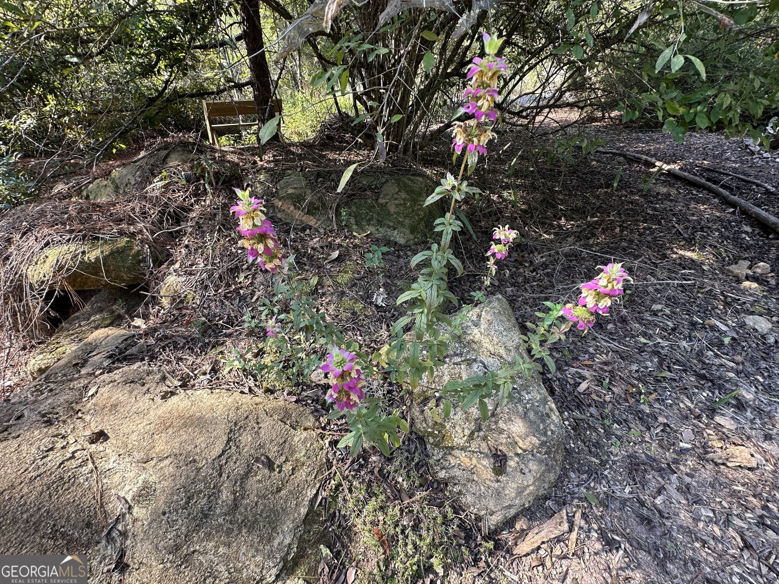 776 McBride Road Fayetteville - 34