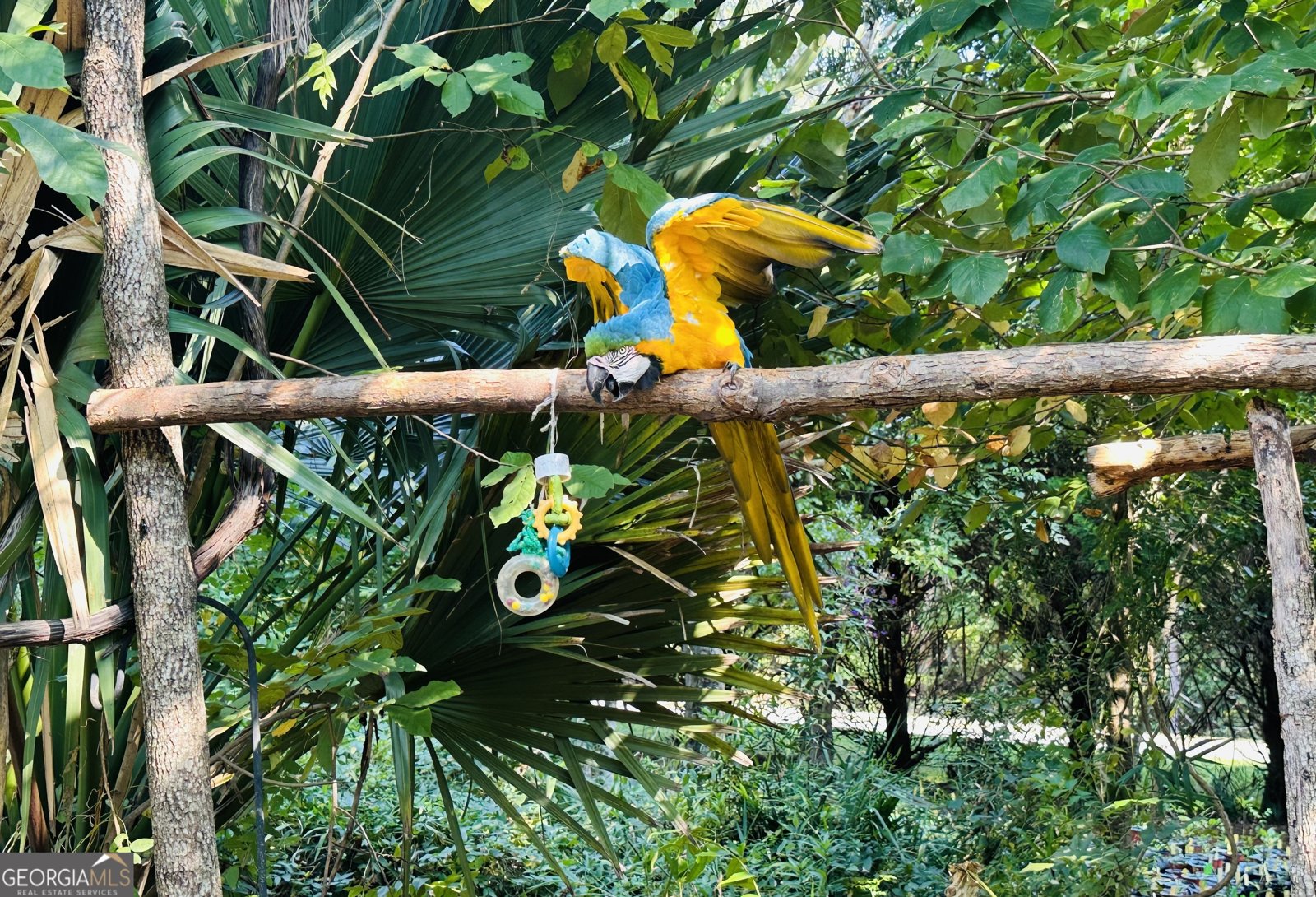 776 McBride Road Fayetteville - 8