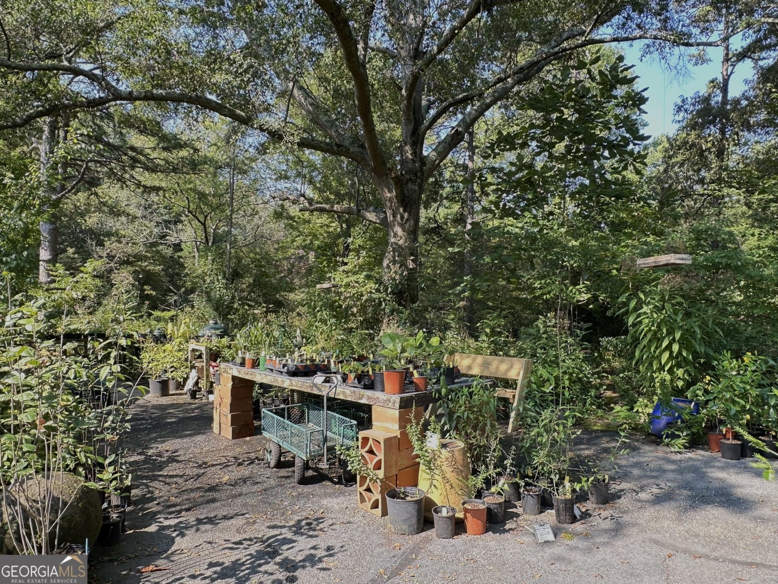 776 McBride Road Fayetteville - 9