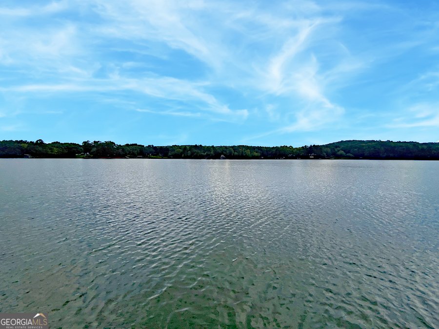 290 Cardinal Lane Toccoa - 30