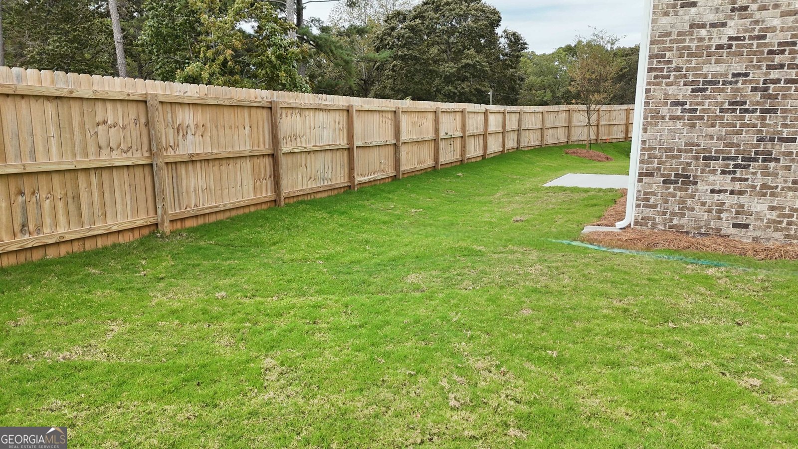 2718 Argento Circle Dacula - 4
