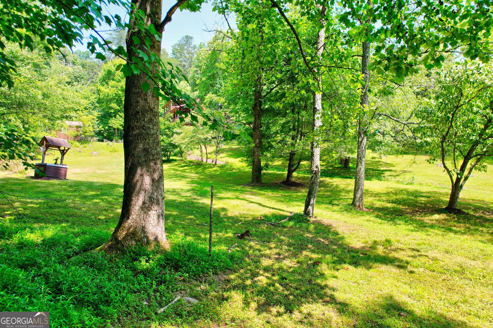 119 Cops Road Blue Ridge - 59