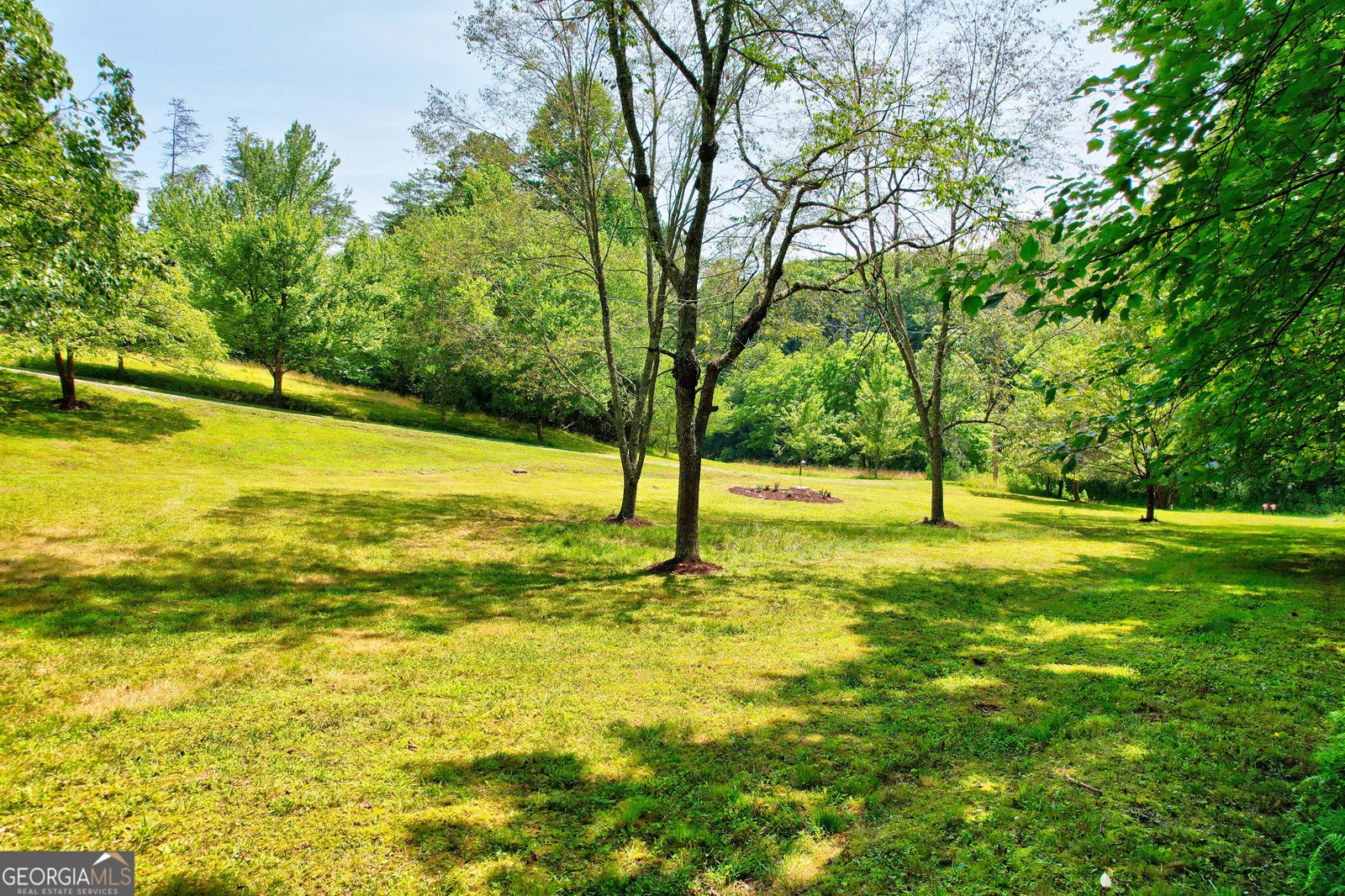 119 Cops Road Blue Ridge - 60