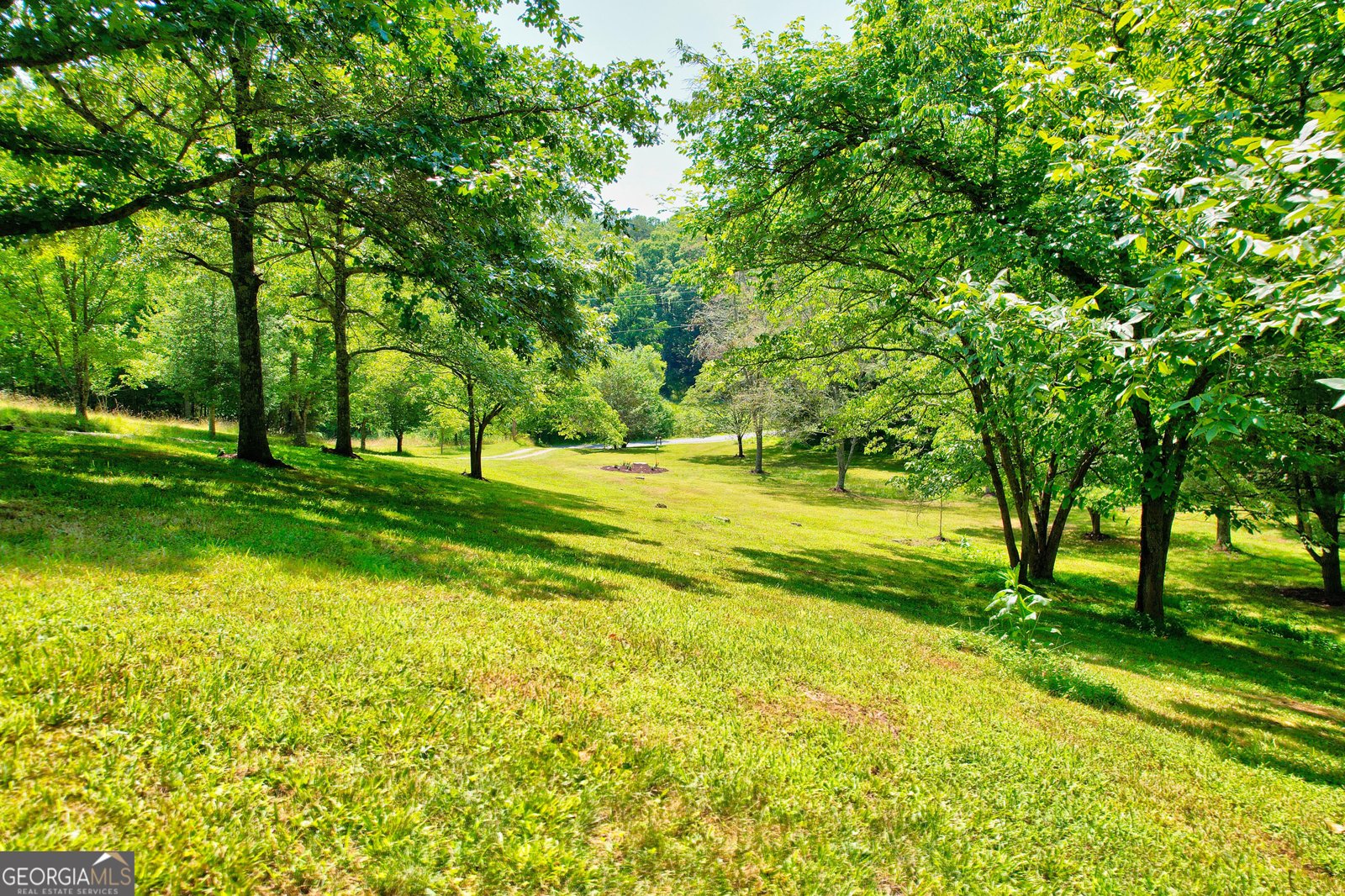 119 Cops Road Blue Ridge - 61