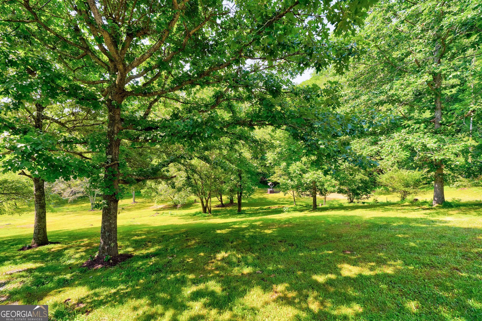 119 Cops Road Blue Ridge - 62