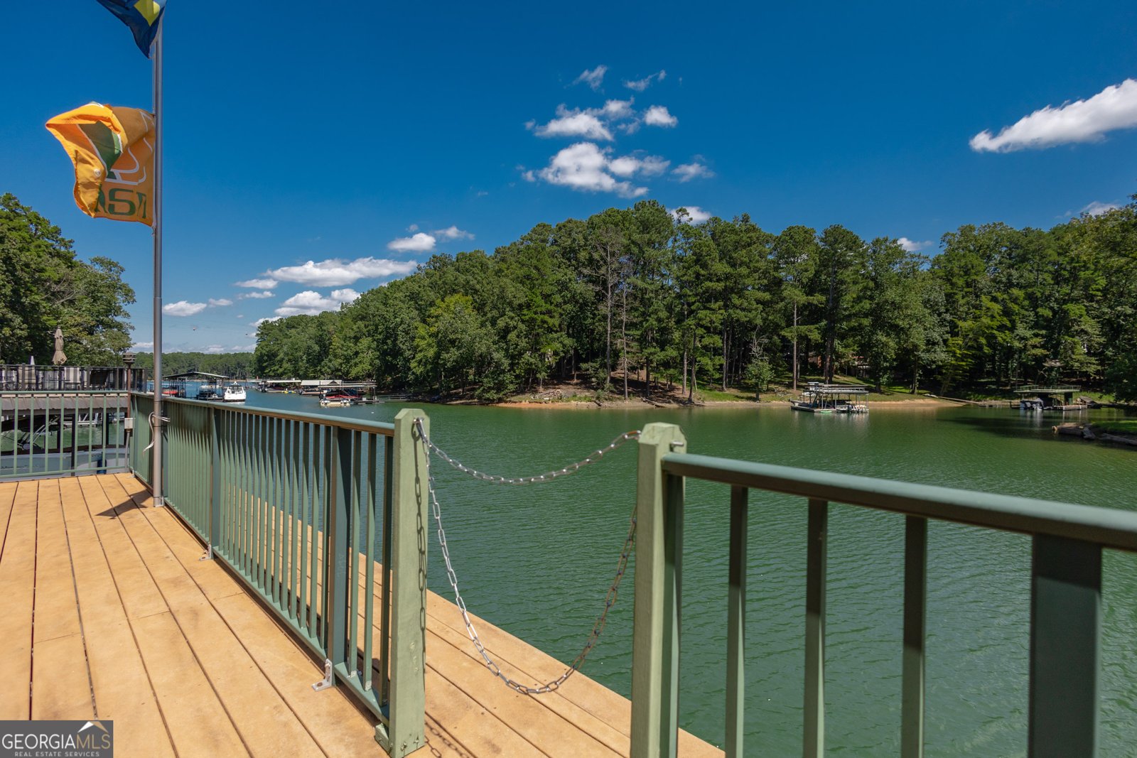 6029 Shadburn Ferry Road Buford - 133