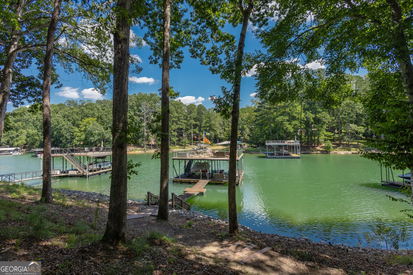 6029 Shadburn Ferry Road Buford - 139