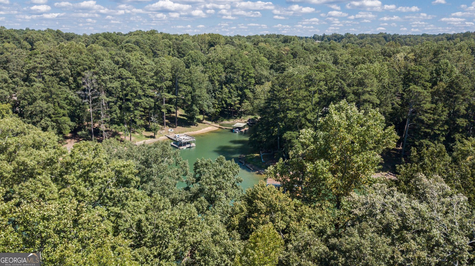 6029 Shadburn Ferry Road Buford - 146