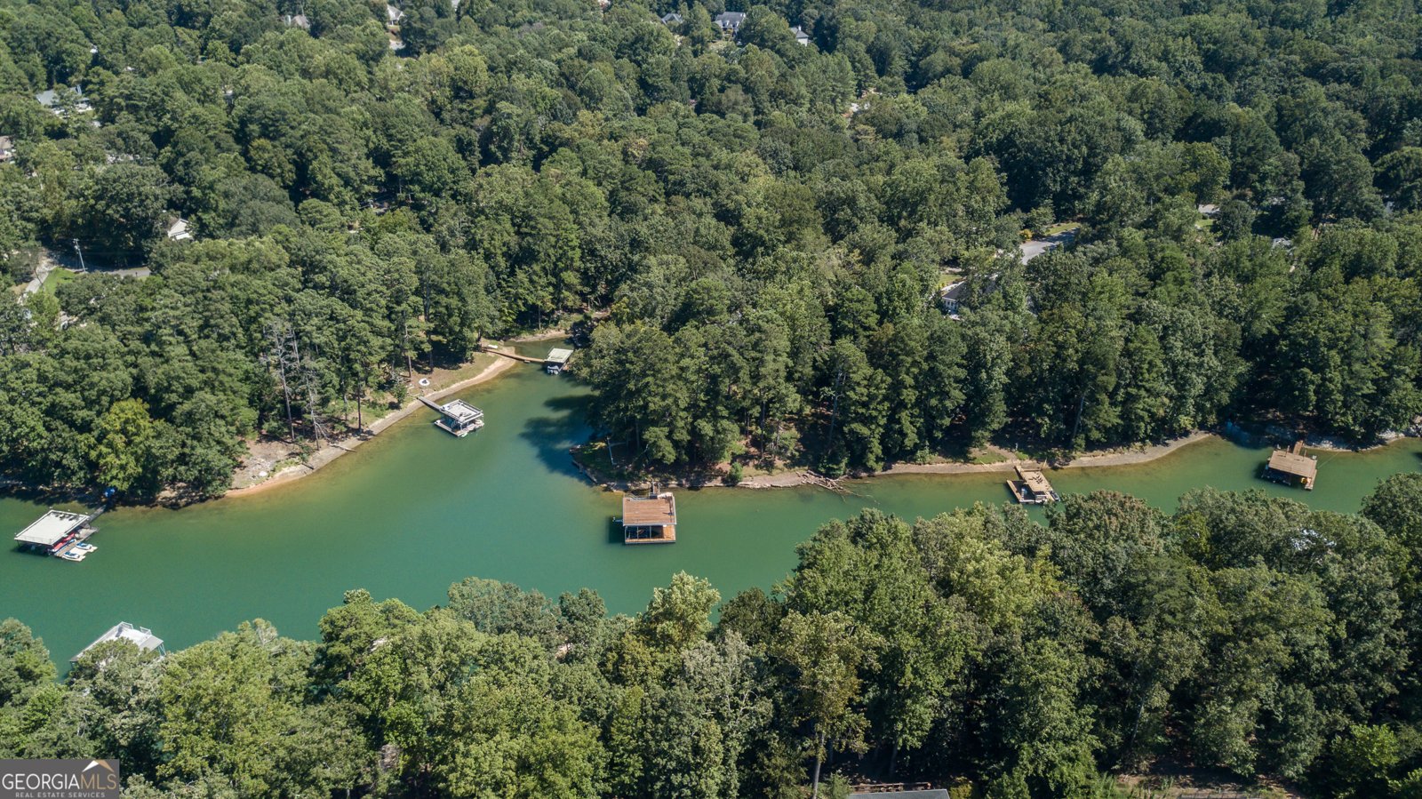 6029 Shadburn Ferry Road Buford - 159