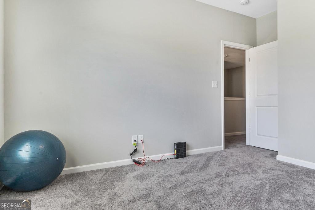 5343 Felles Way Forsyth - 10