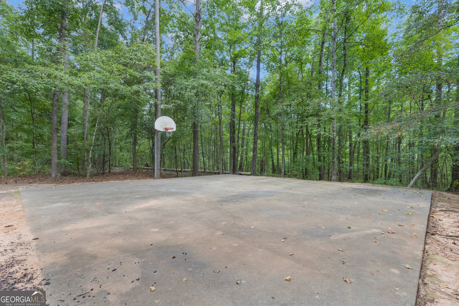 308 Dalston Way Peachtree City - 55