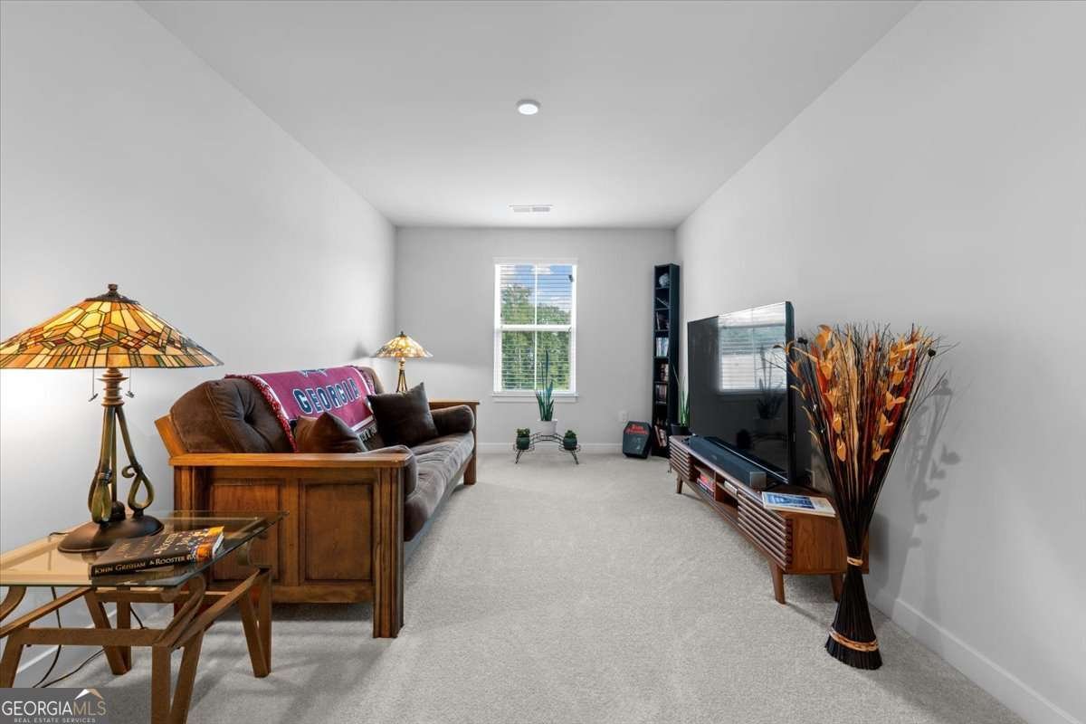 116 SALT LAKE Lane Hoschton - 12