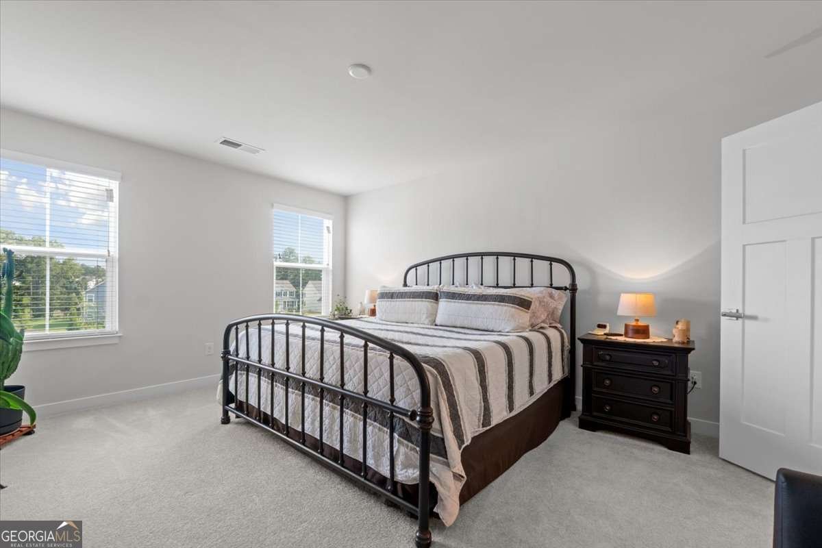 116 SALT LAKE Lane Hoschton - 14