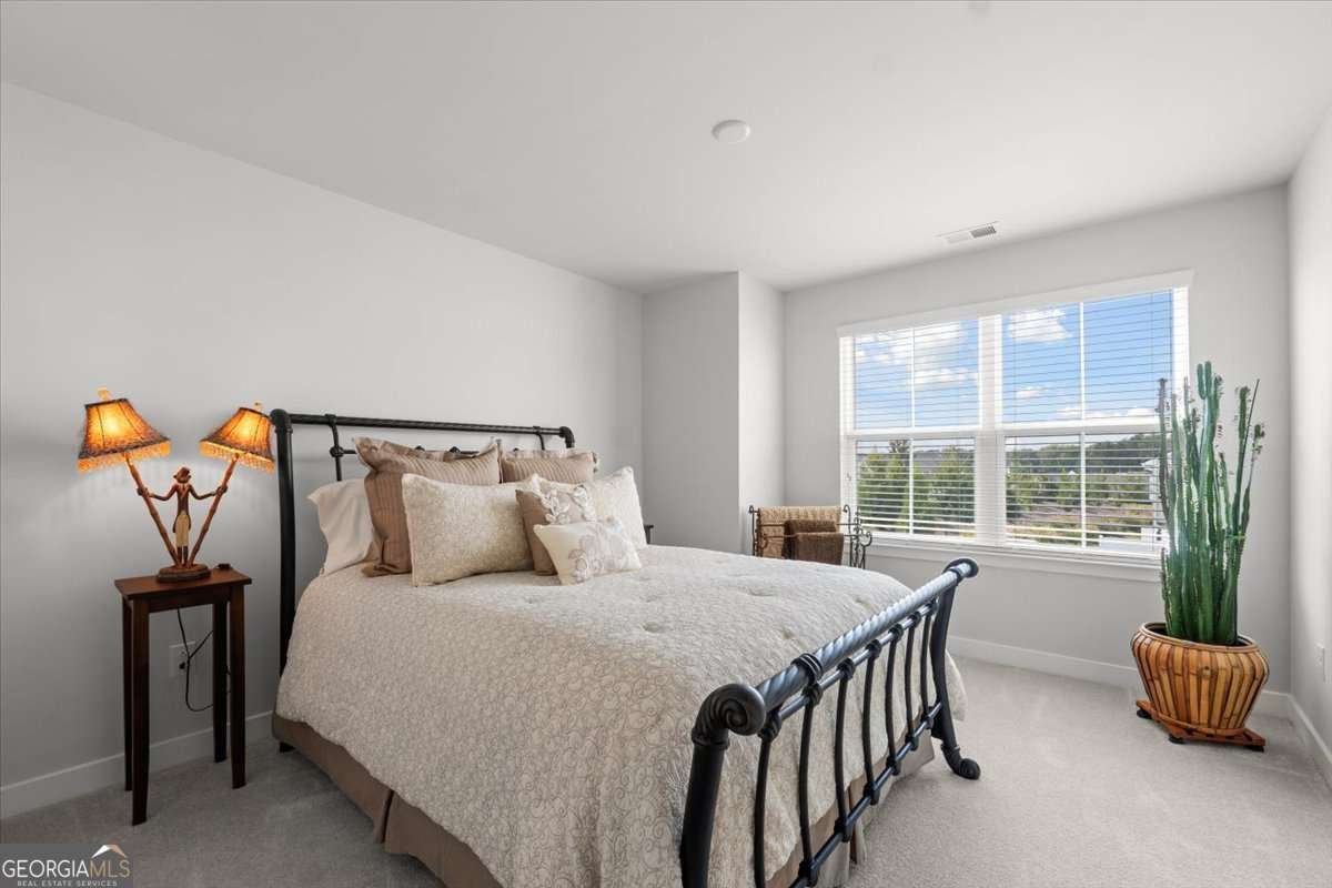 116 SALT LAKE Lane Hoschton - 19